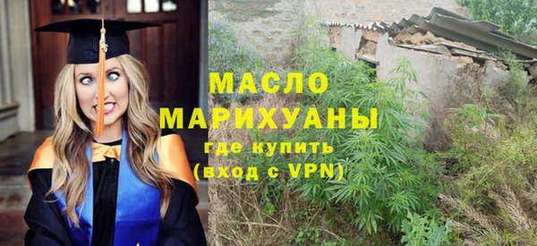 хмурый Арсеньев
