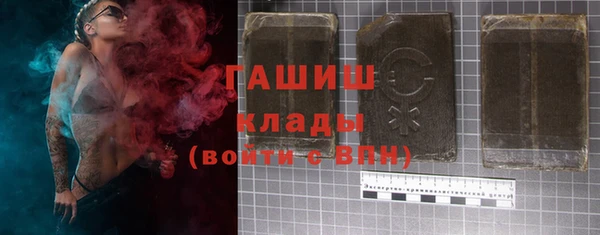хмурый Арсеньев