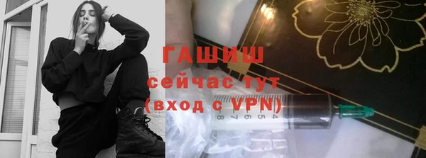 хмурый Арсеньев