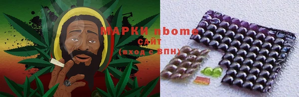 прущие грибы Алексеевка