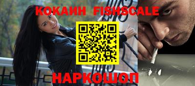 мет Кингисепп