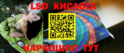 мет Кингисепп