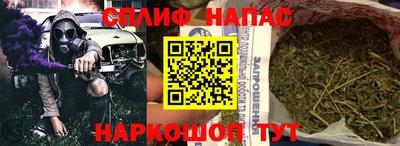 мет Кингисепп