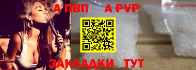 мет Кингисепп