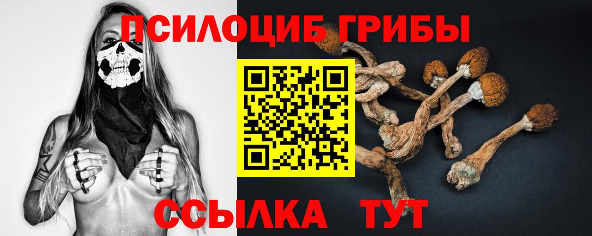 Псилоцибиновые грибы Psilocybe Салават